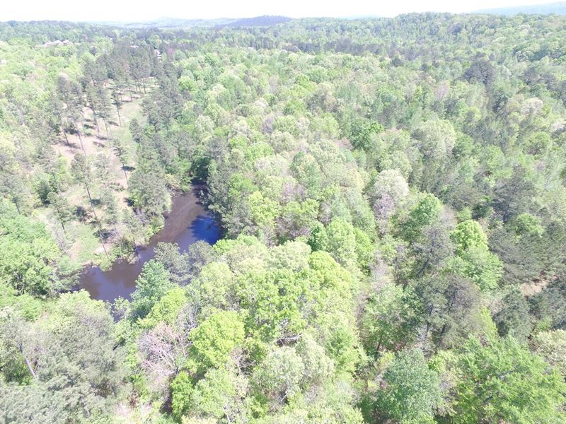 Taylor Farms, 26 Ac & Pond : Moody : Saint Clair County : Alabama