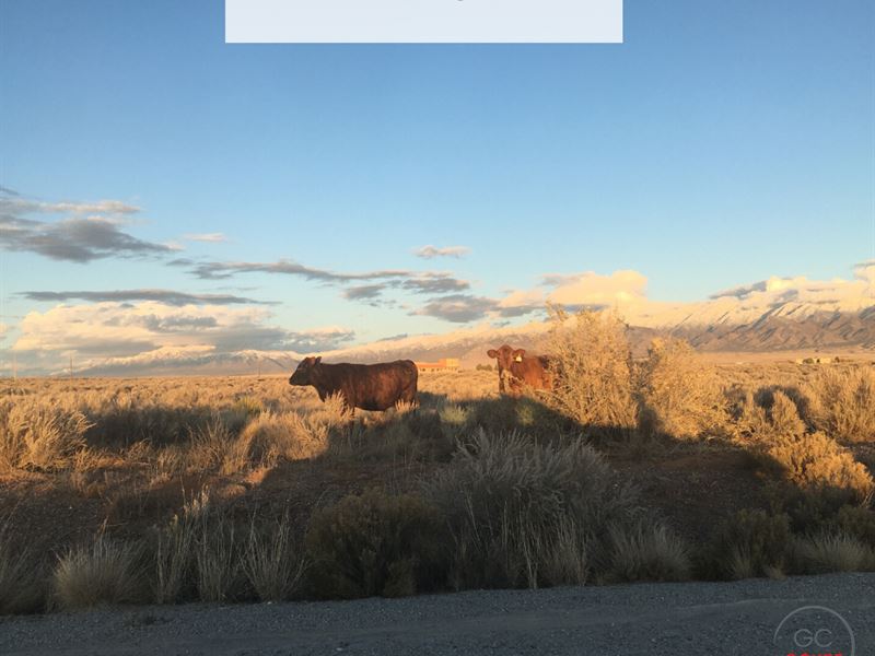5.76 Acres Only $1Dn, $199/Mo : Belen : Valencia County : New Mexico