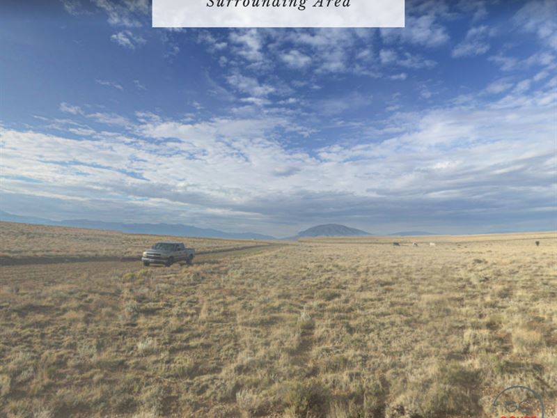 5.00 Acres Only $1Dn, $299/Mo : Alamosa : Alamosa County : Colorado