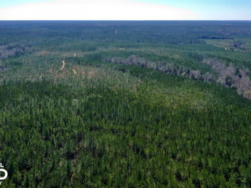 Mason Ferry Road Hunting And Timber Land for Sale in Citronelle