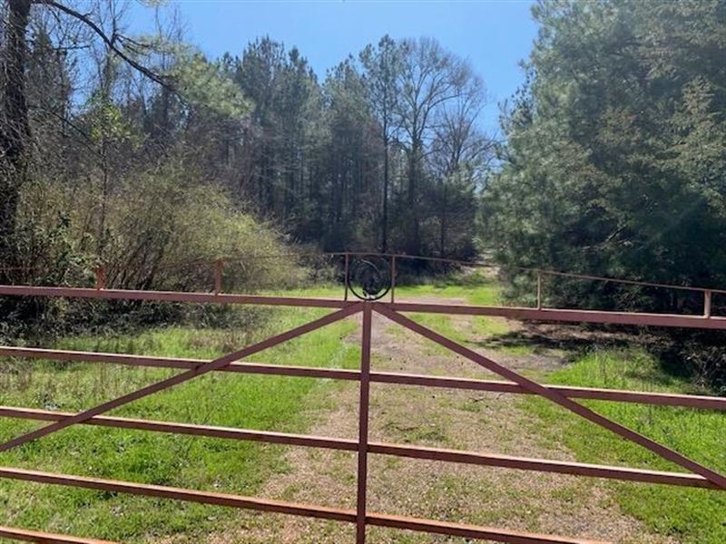 Hunting Land Jefferson County Land for Sale in Fayette, Jefferson