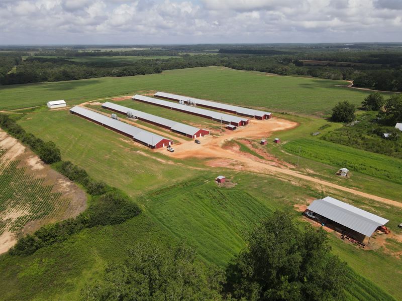 Medlock Farm : Enterprise : Coffee County : Alabama