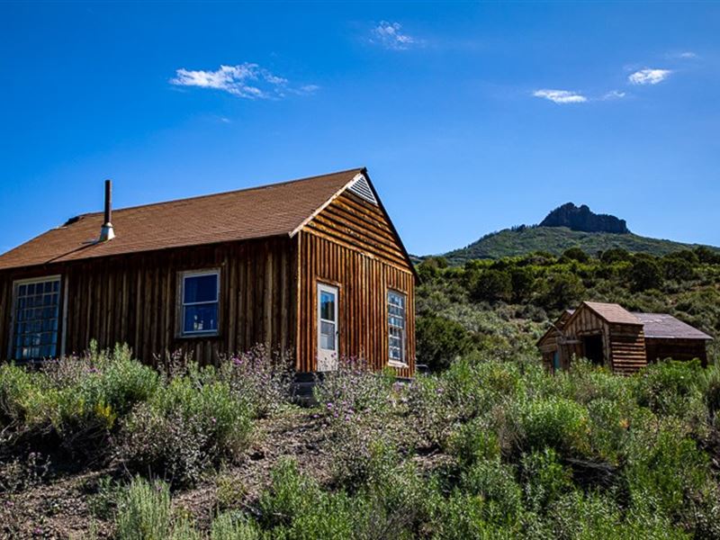 Hunting Cabin Gunnison National Land for Sale in Crawford, Montrose