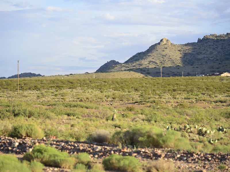 One Acre Lot in Deming Ranchettes : Deming : Luna County : New Mexico