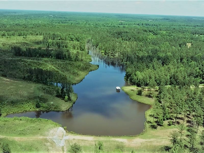 Amazing Timberland and Lakes : Linden : Marengo County : Alabama