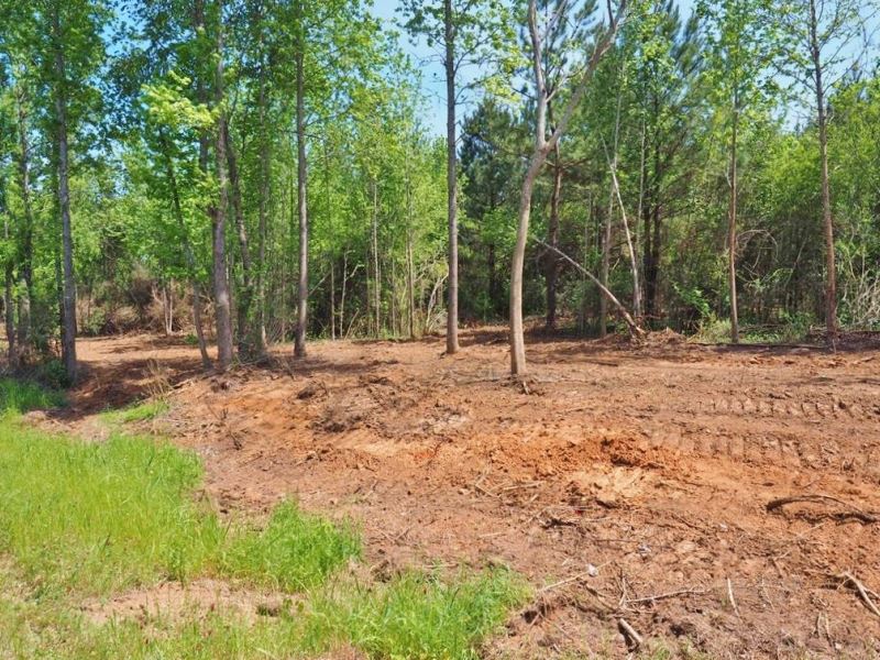 8.97 Acres Timber Land For Sale, Mc Land for Sale in Pike