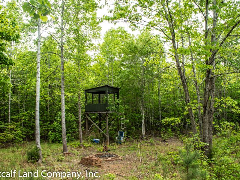 66+/- Acre Recreational Tract : Blacksburg : Cherokee County : South Carolina