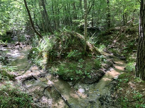 Wooded Close to Pumpkintown : Marietta : Pickens County : South Carolina