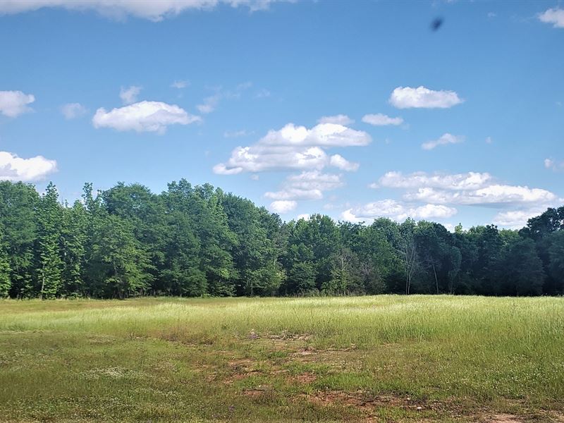 Great Hunting Land with Camp Sites : Linden : Marengo County : Alabama