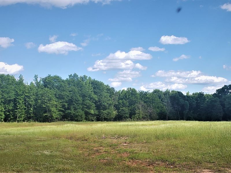 Great Hunting Land with Camp Sites : Linden : Marengo County : Alabama
