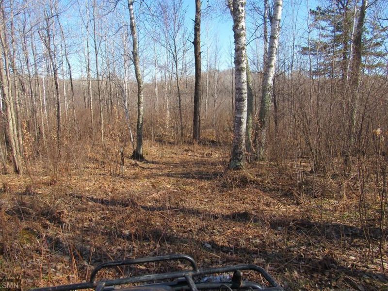 40 Acres Hunting Acreage Northern Land for Sale in Sandstone, Pine