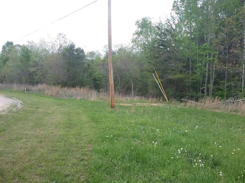 5.33 Mostly Wooded TN Acres Part TN : Clifton : Wayne County : Tennessee