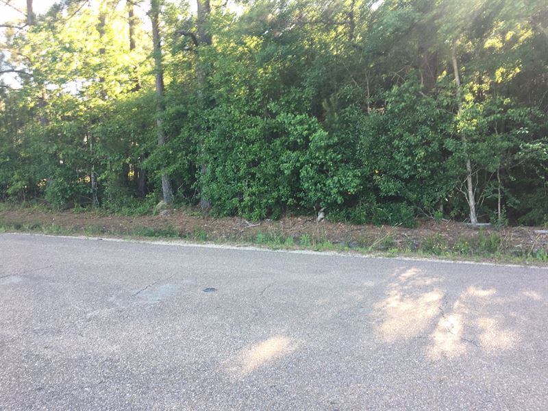 6 Acres Tickfaw, La, Mobile Homes : Tickfaw : Tangipahoa Parish : Louisiana