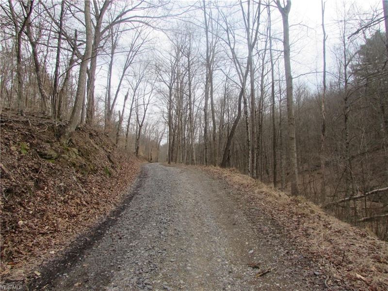 70 Acres Wooded Hunting Land in WV : Pennsboro : Ritchie County : West Virginia