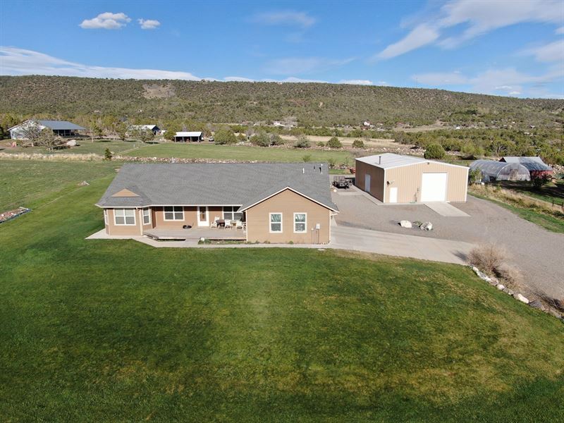 Cedaredge Colorado Home Country Land for Sale in Cedaredge, Delta