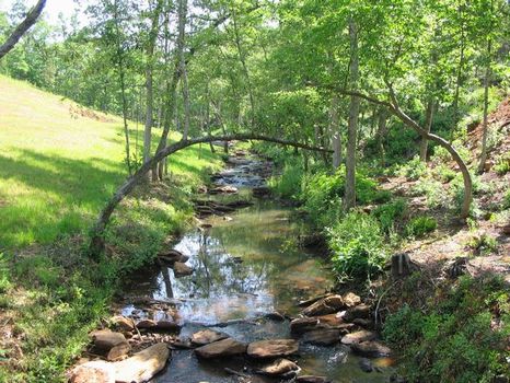 33+/- Acres on Metcalf Creek : Ashland : Clay County : Alabama
