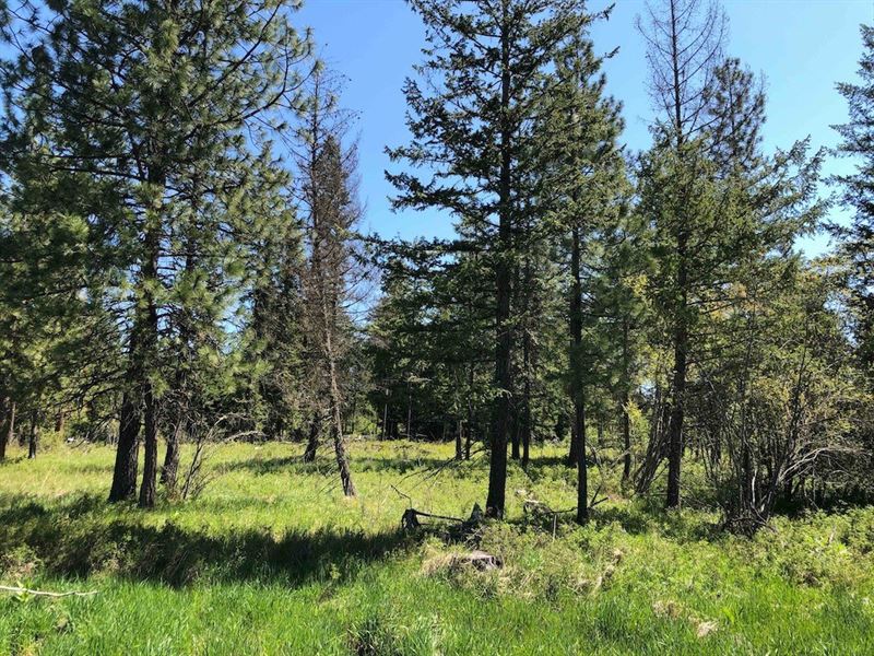 Rural Acreage Lot 5 Fraser Pines Land for Sale in Weippe, Clearwater County, Idaho 239576 Rural Acreage Lot 5 Fraser Pines Land for Sale in Weippe, Clearwater County, Idaho 239576