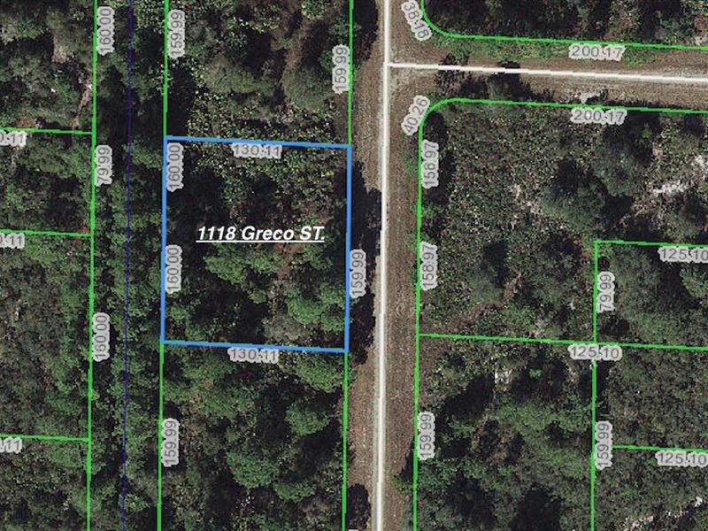 Large Lot In Leisure Lakes Land for Sale by Owner in Lake Placid