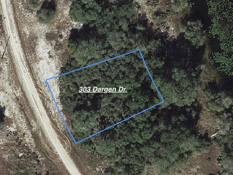 Lot in Quiet Lake Neighborhood : Lake Placid : Highlands County : Florida