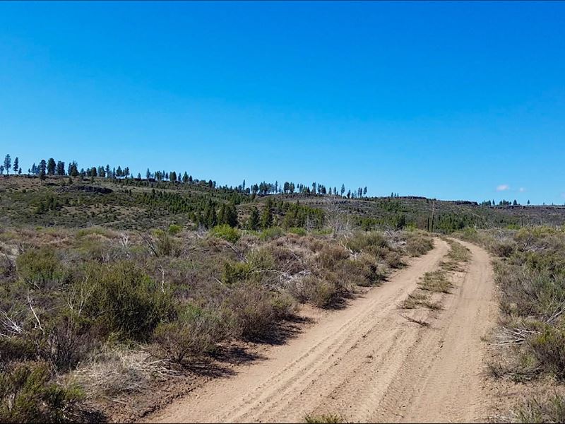 2.41 Acre Lot Near National Forest : Chiloquin : Klamath County : Oregon