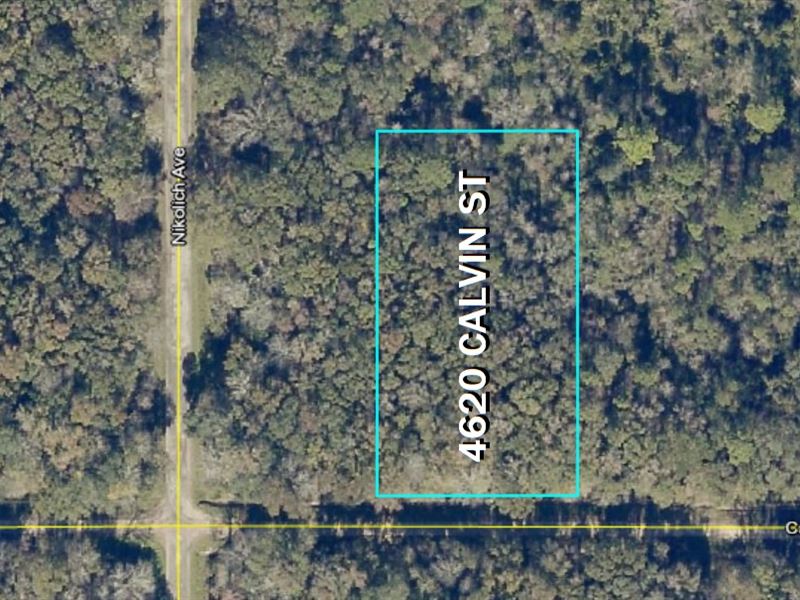 Lot in Up & Coming Flagler Estates : Hastings : Saint Johns County : Florida