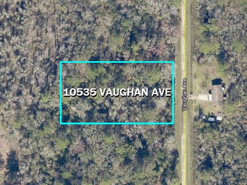 Florida Fun in Flagler Estates : Hastings : Saint Johns County : Florida