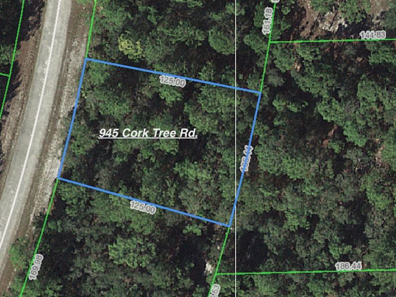 .25 Lot Surrounded By Pristine Lake : Lake Placid : Highlands County : Florida