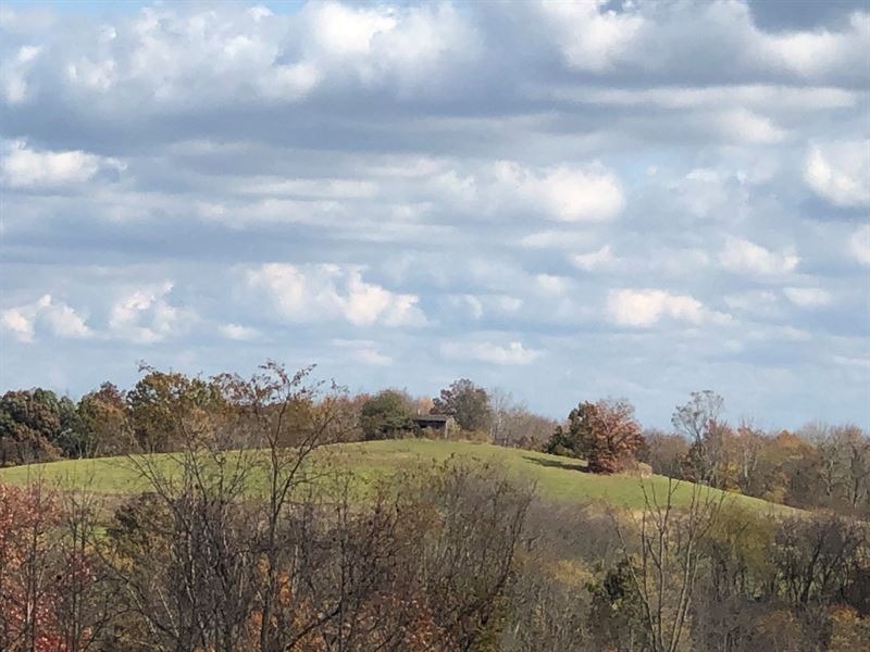 Bloomingdale, OH Hunting Property Land for Sale in Bloomingdale