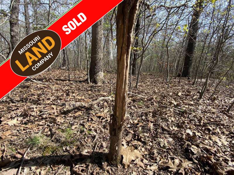 40 Secluded Hunting Acres Morgan : Gravois Mills : Morgan County : Missouri