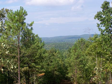 147+/- Acres Timber/Pastureland : Millerville : Clay County : Alabama