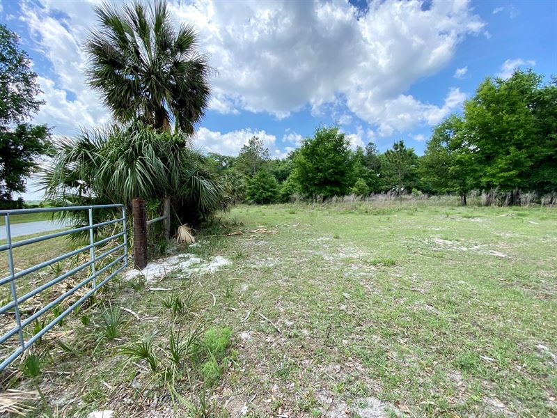 41 Acres in Mayo, Fenced Ready Land for Sale in Mayo, Columbia County