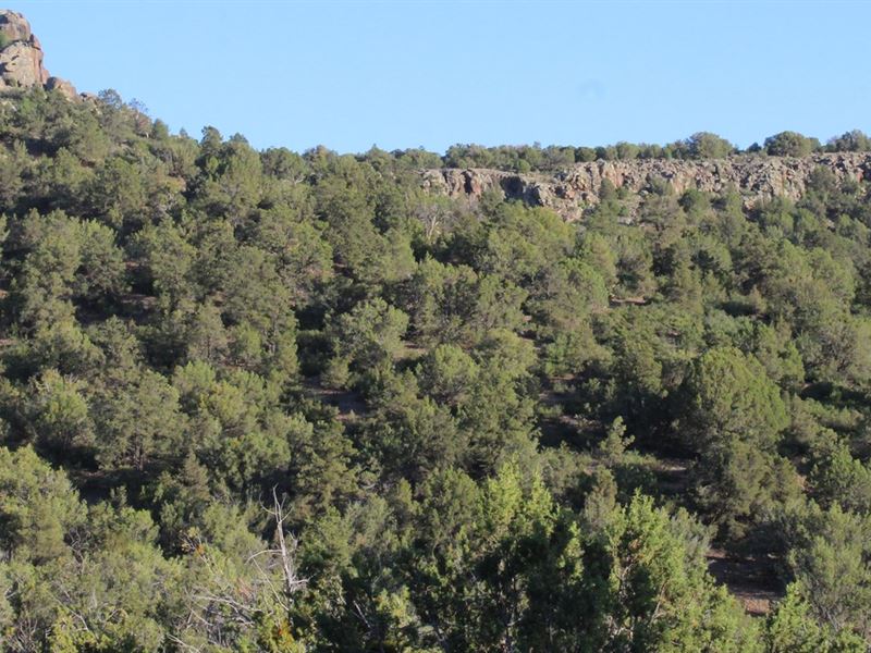 Shadow Rock Ranch Land, Maintained : Seligman : Yavapai County : Arizona
