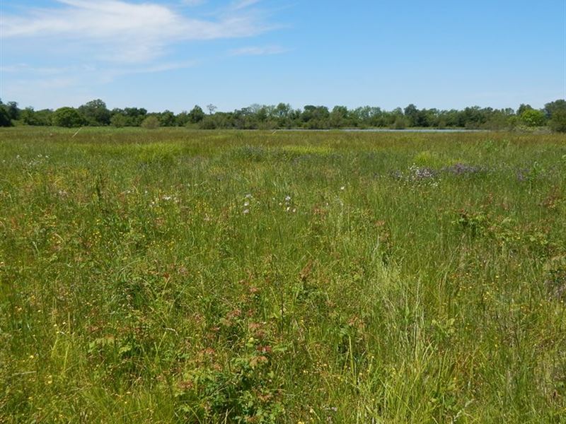 4 Up to 48 Ac Excellent Opportunity : Clarksdale : Coahoma County : Mississippi
