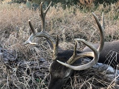 50 Acres with Electric Near Menard : Menard : Texas