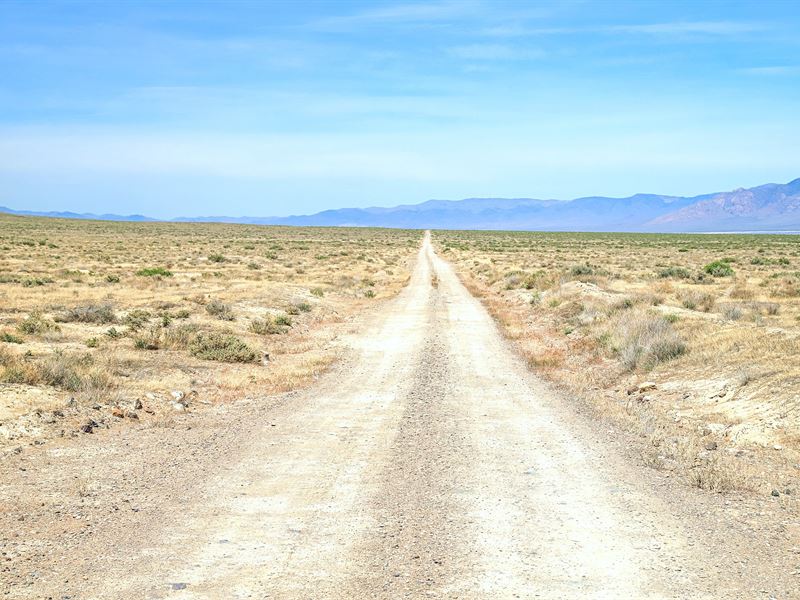 Scenic Acreage in Lovelock, Nevada : Lovelock : Pershing County : Nevada