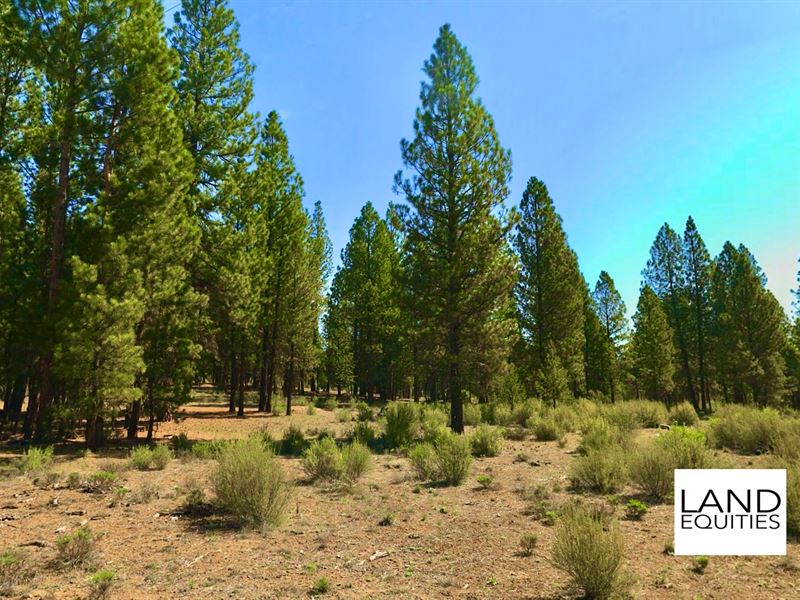 Park Like Setting Near The River : Chiloquin : Klamath County : Oregon