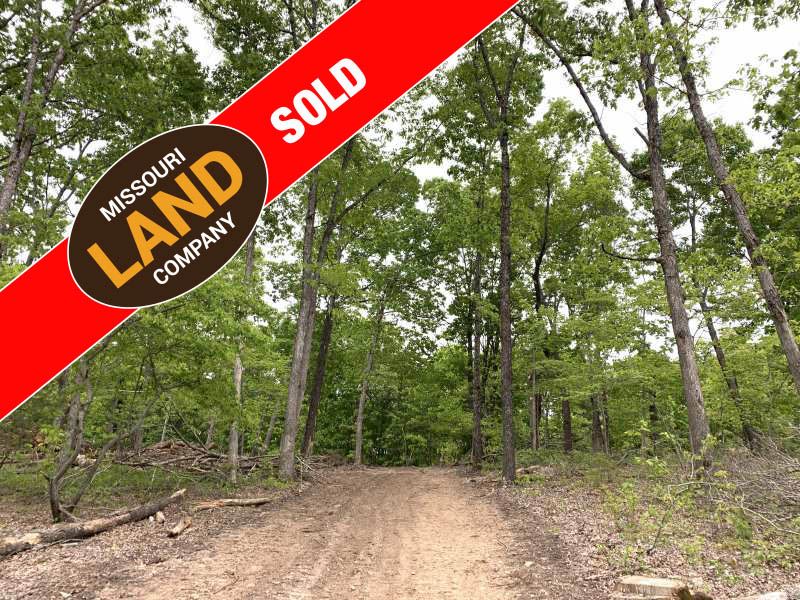 65 Acres Recreational Tract : Lincoln : Benton County : Missouri