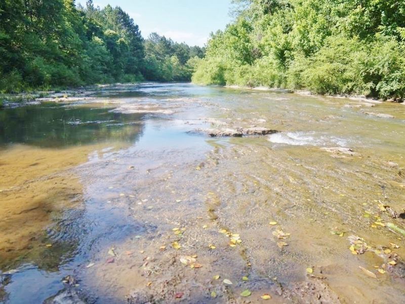 174 Acres Hunting Land On The Homoc : Hazlehurst : Copiah County : Mississippi