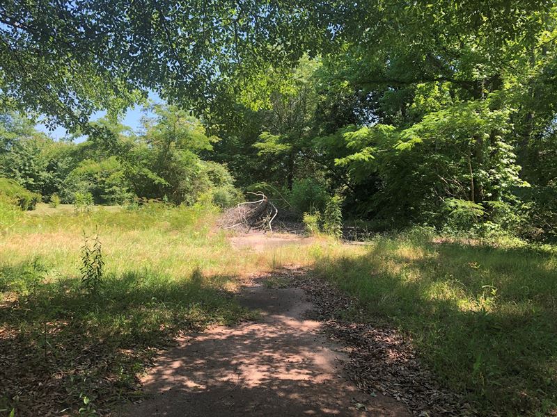 Shaded City Lot, Cass County, Texas : Atlanta : Cass County : Texas
