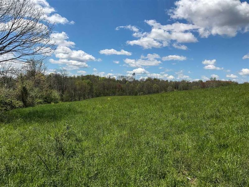 Sandy Lane, 28 Acres : Chesterhill : Morgan County : Ohio