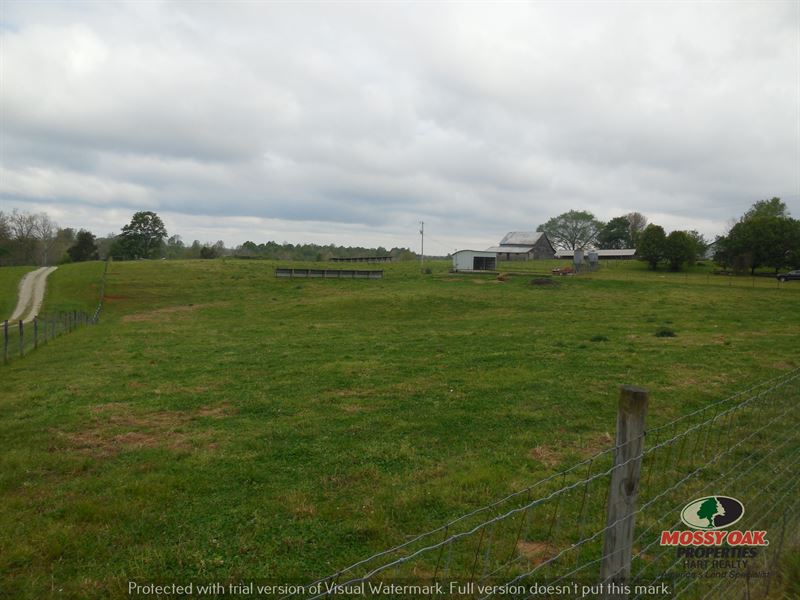 31 Acres Farm Ready To Go : Bonnieville : Hart County : Kentucky
