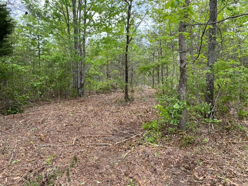 5.02+/- Acres Wooded Property : South Pittsburg : Marion County : Tennessee