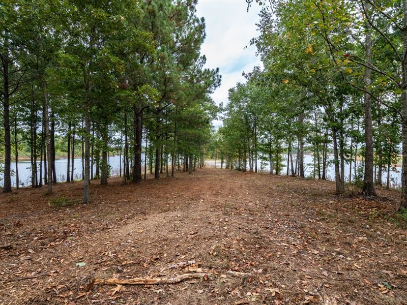 Browning Shoals at Hard Labor Creek : Social Circle : Walton County : Georgia