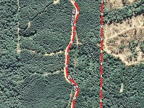Beautiful 37 Ac In Adams County : Roxie : Adams County : Mississippi