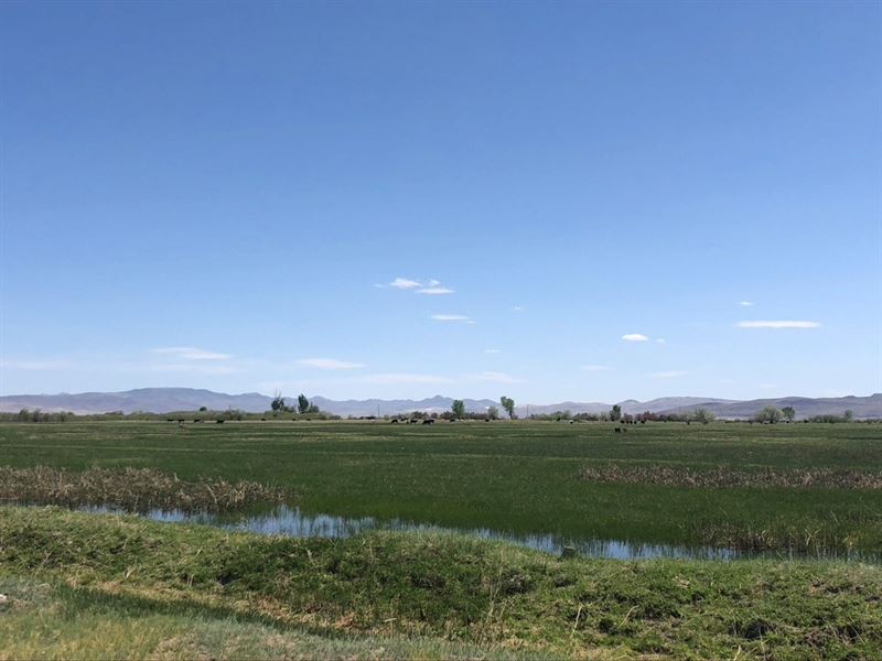 Waterfowl Hunting Ranch Water : Fallon : Churchill County : Nevada