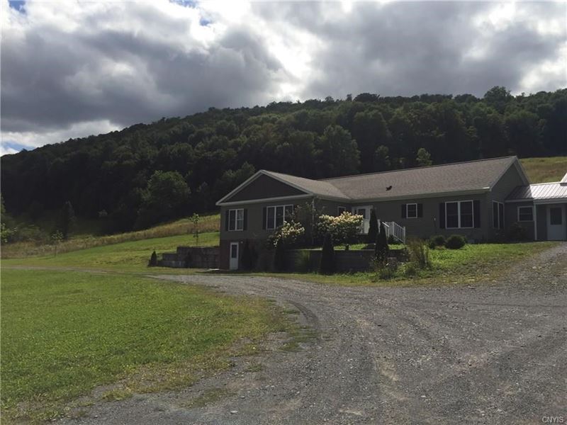 Beautiful Newer Home 133 Acres : Lincklaen : Chenango County : New York