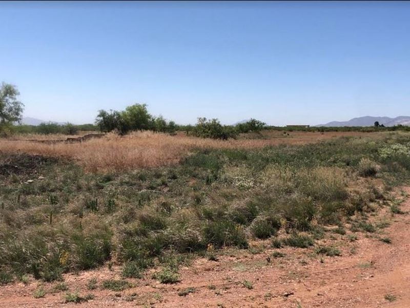 Off Grid Lot, Power & Water Close : Douglas : Cochise County : Arizona