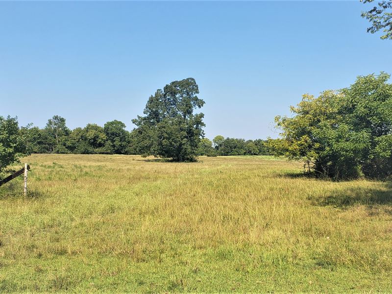 Beautiful Black Belt Land : Faunsdale : Marengo County : Alabama