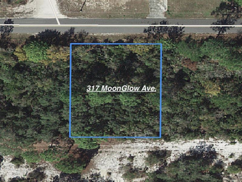 Quiet Lot in Sun N Lakes Estates : Lake Placid : Highlands County : Florida
