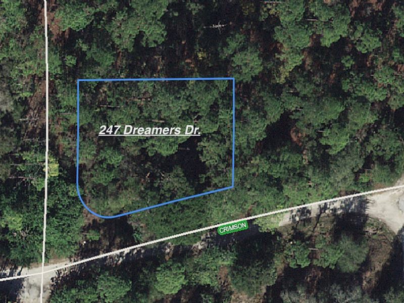 Beautiful Serene Corner Lot : Lake Placid : Highlands County : Florida